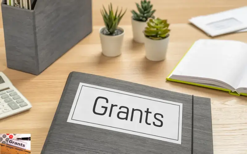 Goverment Grants For Felons in Missouri