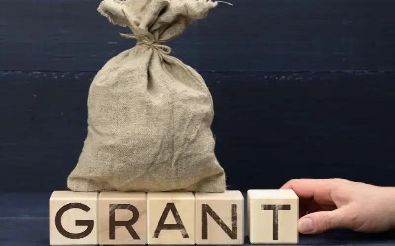 Grants For Felons In Virginia